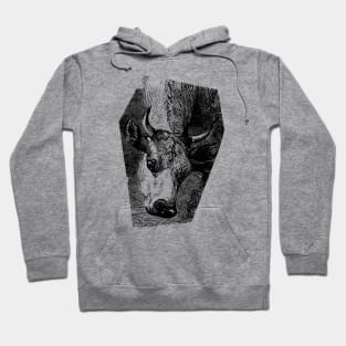 Cow Portrait Black and White Illustration Hoodie